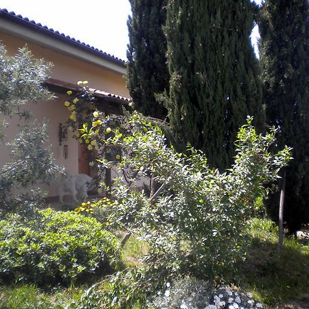 Le Tre Querce Bed & Breakfast Fiano Romano Exterior foto