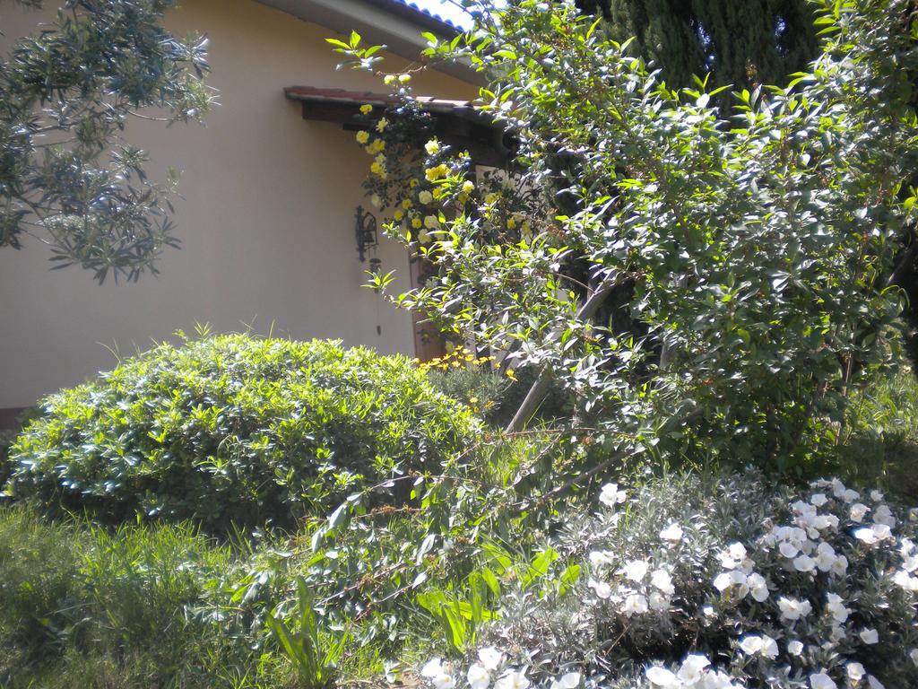 Le Tre Querce Bed & Breakfast Fiano Romano Exterior foto