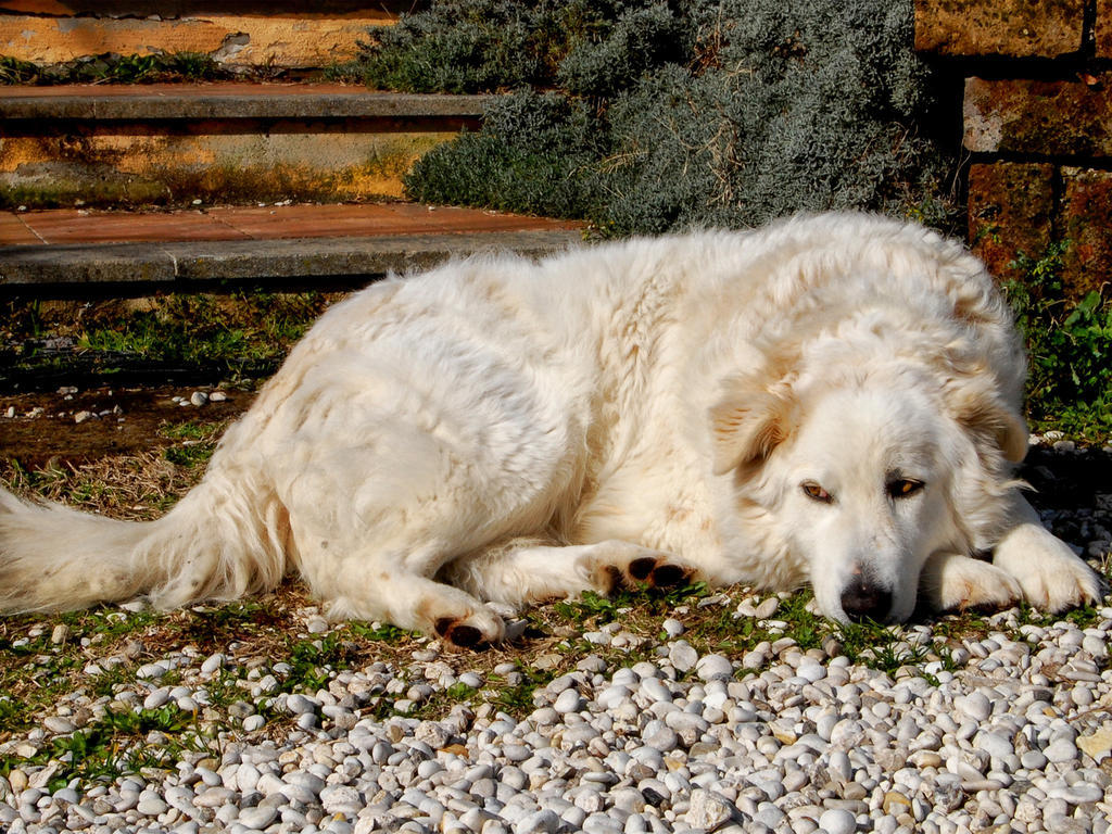 Le Tre Querce Bed & Breakfast Fiano Romano Exterior foto